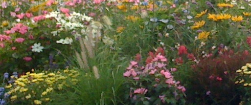 Der Herbst zeigt, dass Schönheit auch im Loslassen liegt